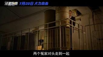 国产a级电影,国产A级电影的璀璨篇章 第1张 国产a级电影,国产A级电影的璀璨篇章 第1张