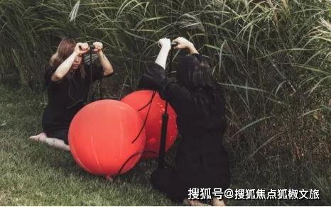 国产伊甸园  第3张