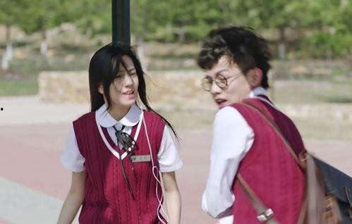 国产爱情电视剧,国产爱情剧的浪漫之旅  第2张