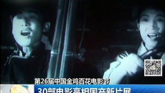 国产片子,光影交织下的时代印记  第1张