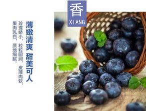 水莓100完全国产免费  第3张